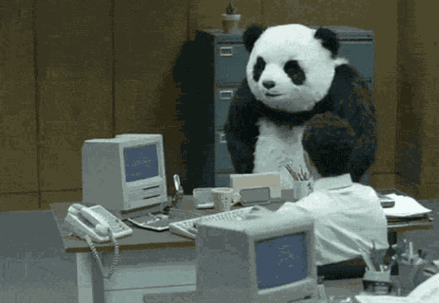 Panda Angry GIF