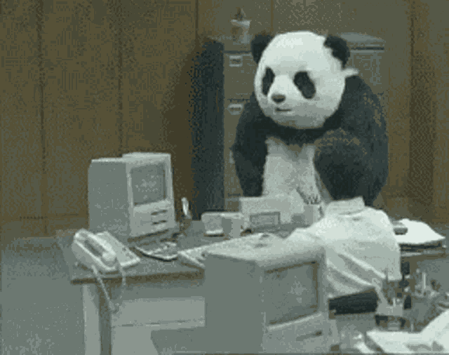Panda Angry GIF