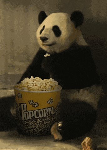 Panda Eating Popcorn GIF