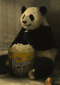 Panda GIF