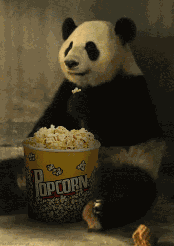 Pandacorn GIF