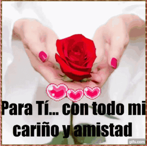 Para Ti Carino Amistad GIF