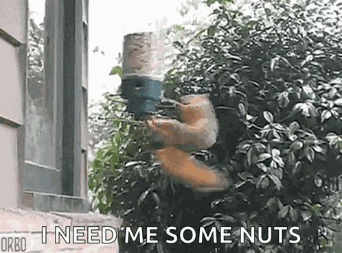 Party Going Nuts GIF
