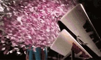 Party Hard GIF