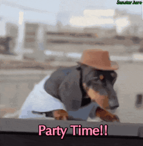 Party Time Dog Party GIF
