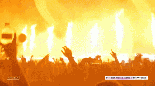 Partying Swedish House Mafia GIF