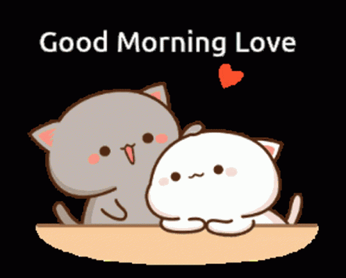 Pashin Frnzgrc GIF