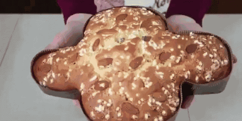 Pasqua Buona Pasqua Colomba Pasquale Dolce Tipico Italiano GIF