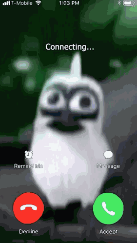 Passaro Explodindo GIF