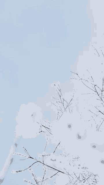 Pastel Blossoms Meme