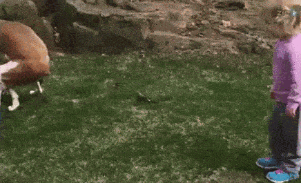 Pat On The Back Little Girl GIF
