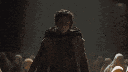 Paul Muaddib Atreides Dune Part Two GIF