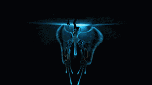 Peace Freedom GIF