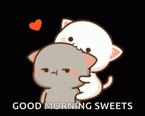 Peach Cat Annoying GIF