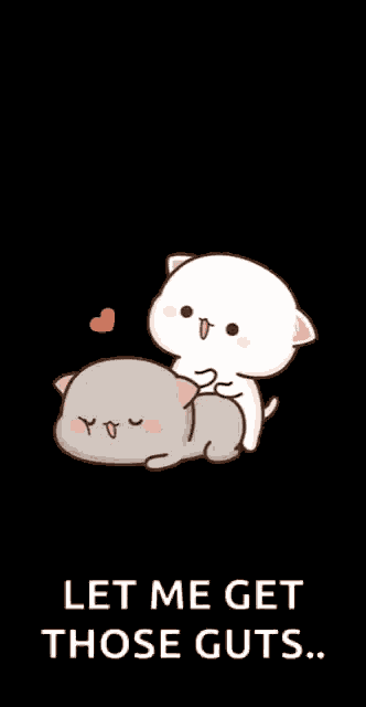Peach Cats Heart GIF GIF