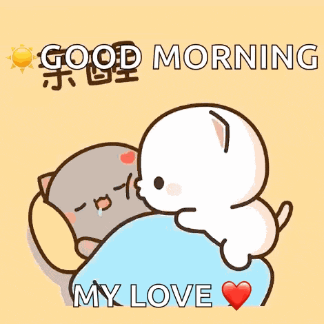 Peach Goma Mochi Cat GIF