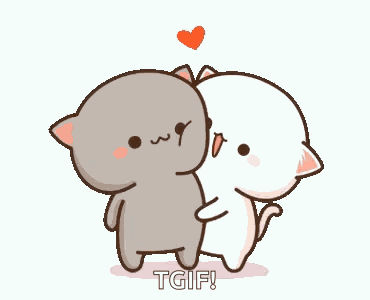 Peachcat Cats GIF