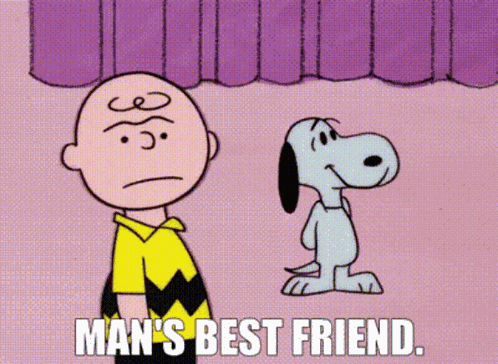 Peanuts Charlie Brown GIF