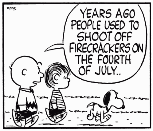 Peanuts Snoopy Happy 4th Of July Fireworks Dogs Scared Charlie Brown Independence Day GIF