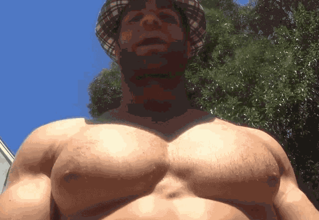 Pecs Big Pecs GIF