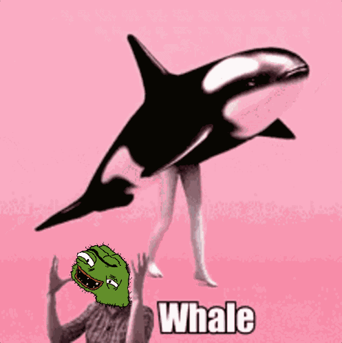 Peden GIF