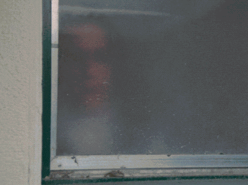 Peeking Fast Times At Ridgemont High GIF