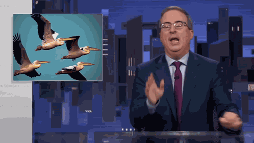 Pelicans Deep Mouths GIF