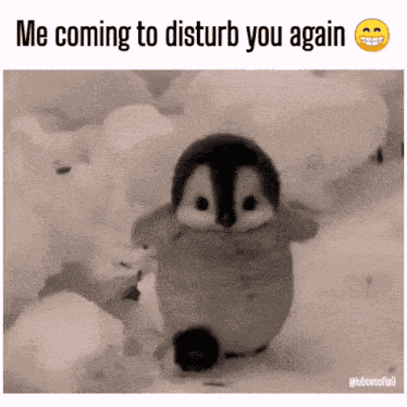 Penguim Cute GIF