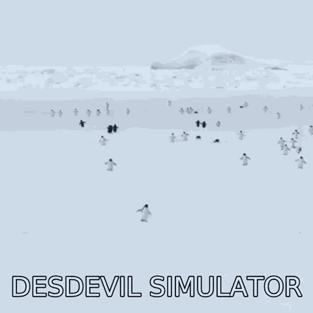 Penguin Desdevil GIF