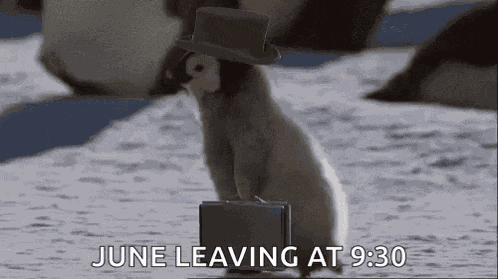 Penguin Leaving GIF