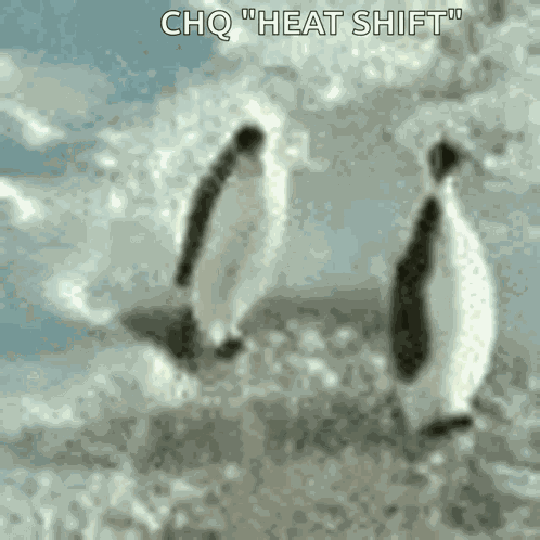 Penguin Penguins GIF