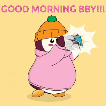 Penguin Photography GIF