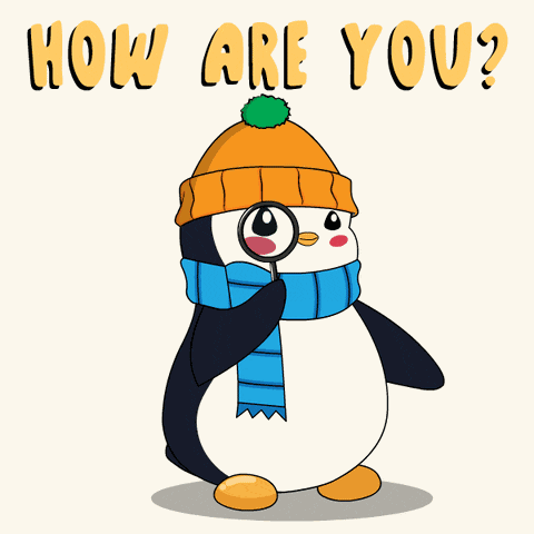 Penguin Sup GIF