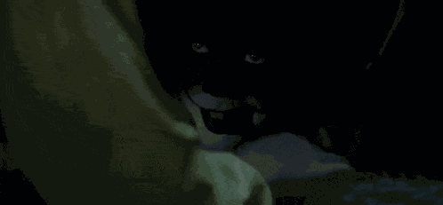 Penny Wise It Movie GIF