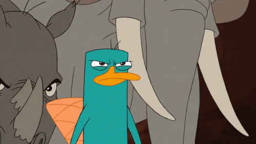 Perry The Platypus Phineas And Ferb GIF