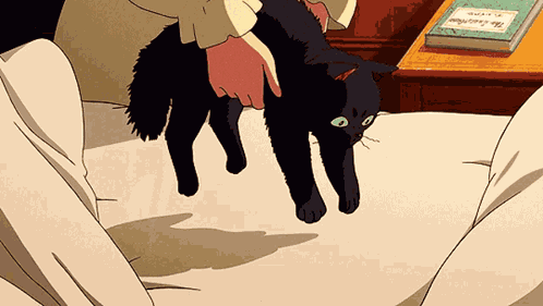 Pet Cat GIF
