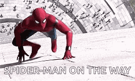Peter Parker Tom Holland GIF