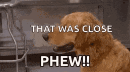 Phew Dogs GIF