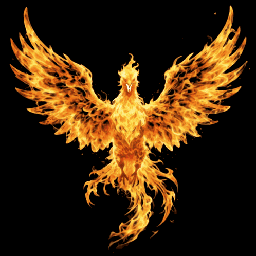 Phoenix Firebird Ring Of Fire GIF
