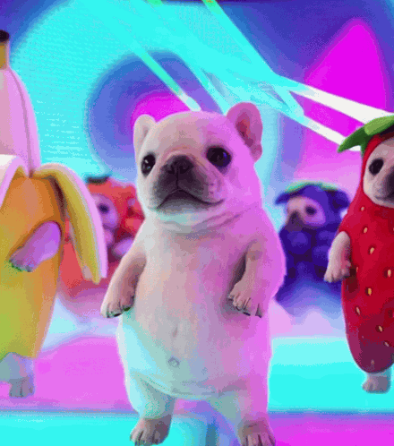 Pibble Rave GIF
