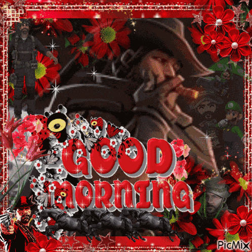 Picmix Overwatch GIF