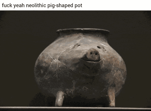 Pig Meme