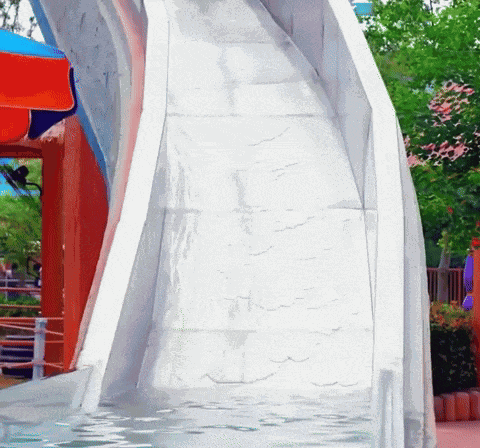 Pig Water Slide GIF