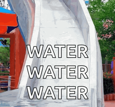 Pig Water Slide GIF