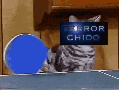 Pin Pong Chido GIF