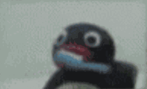 Pingu Cursed GIF
