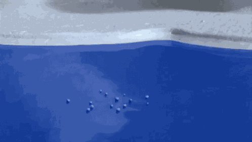 Pingu Rising From Water GIF