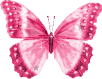 Pink Butterfly Sticker