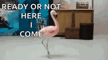 Pink Flamingo Hide And Seek GIF