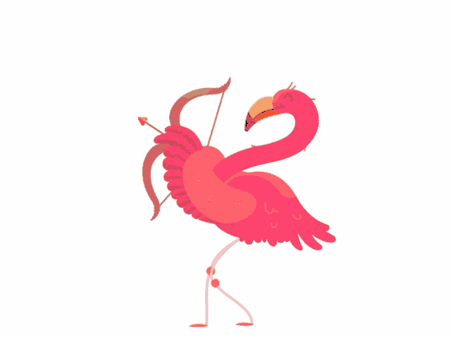 Pink Flamingo GIF